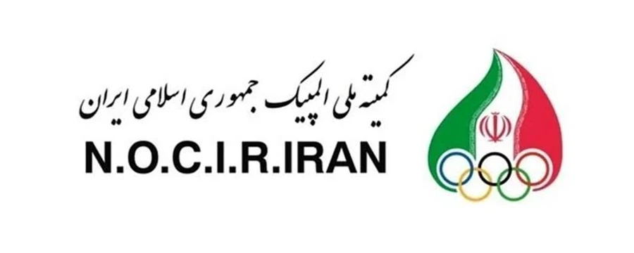 لوگوی یکی از مشتریان داماش